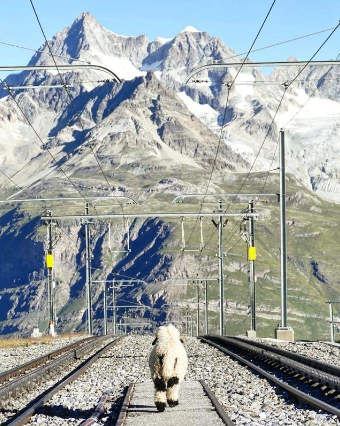 3100 Kulmhotel Gornergrat Zermatt Exteriér fotografie